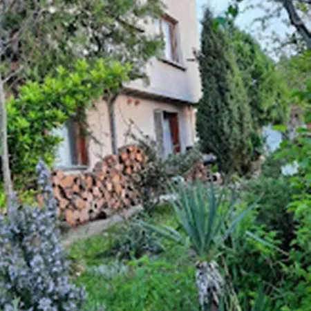 варвара- ятрус Homestay *