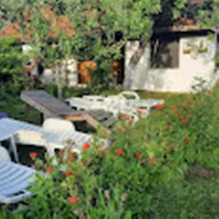 Homestay варвара- ятрус