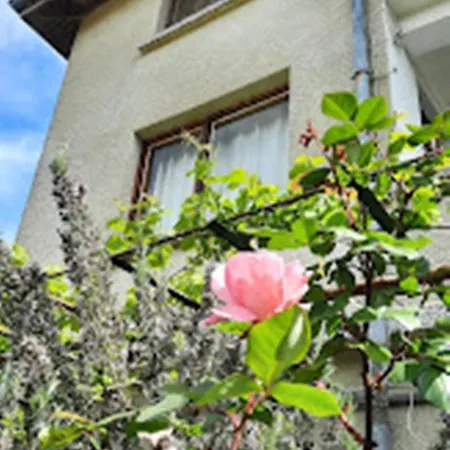 варвара- ятрус Homestay *